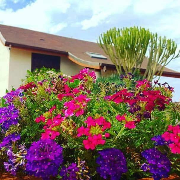 B&B Villa Rosella Petrosino Buitenkant foto